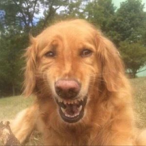 Meet your Posher, Joshua